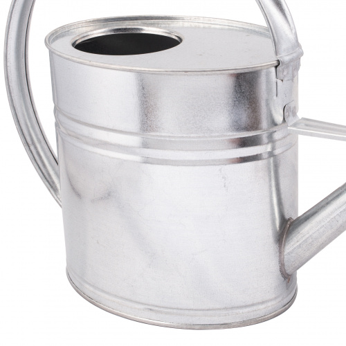 Guillouard 4 L watering can