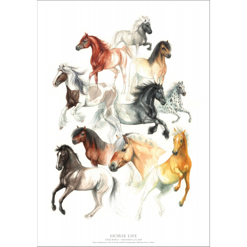 Koustrup & Co. plakat med heste - A2 (dansk)