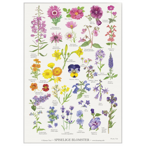 Koustrup & Co. poster with edible flowers - A2...