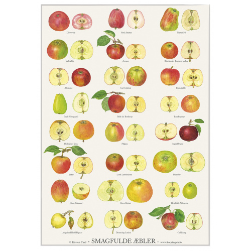 Koustrup & Co. Poster mit leckeren Äpfeln - A2...
