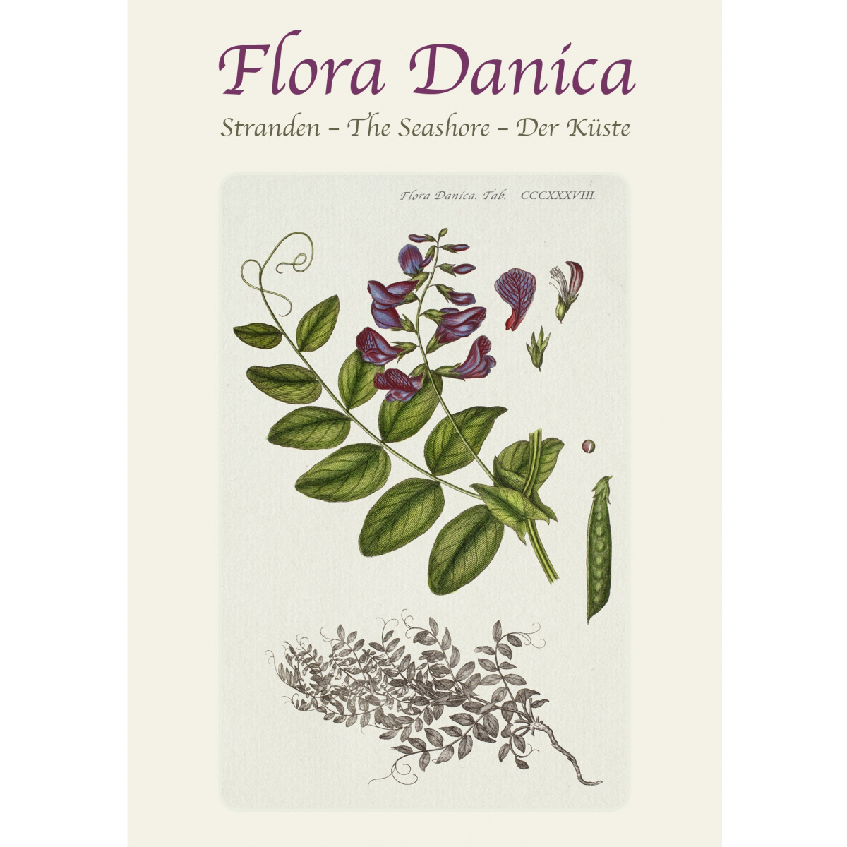 Flora Danica kortmappe - stranden