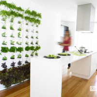 Minigarden Vertical køkkenhave - hvid