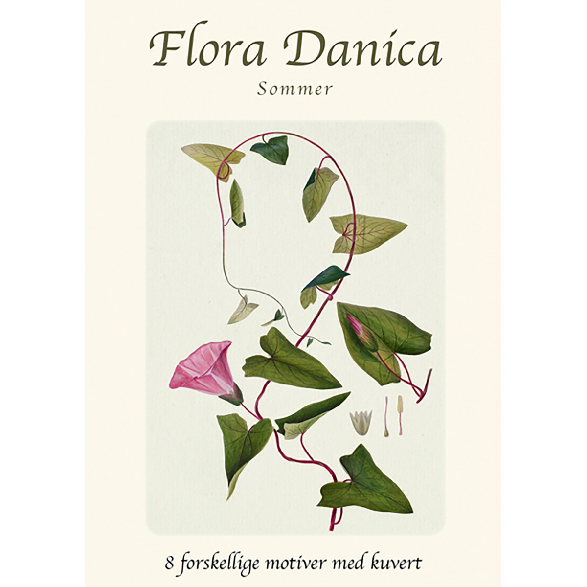Flora Danica kortmappe