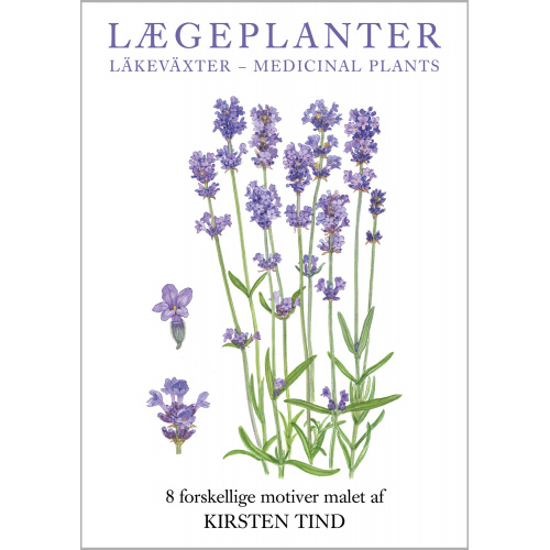 Koustrup & Co. card folder - medicinal plants