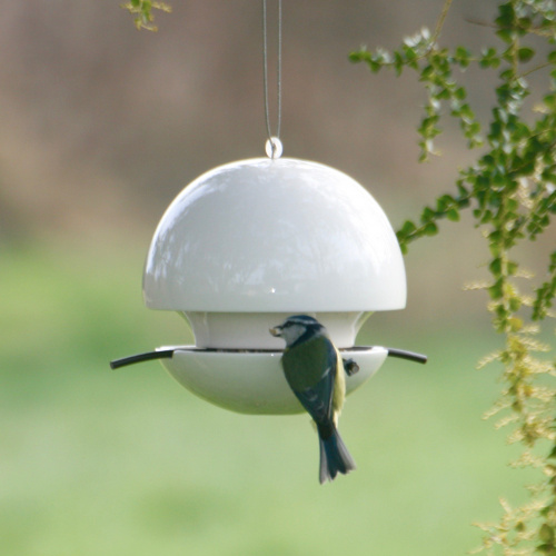 Green & Blue food ball for bird seed - white