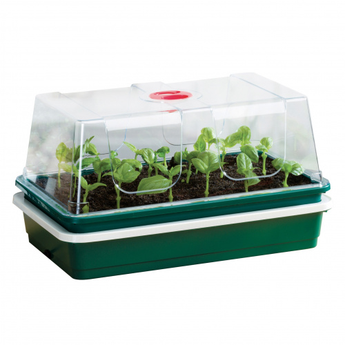 Garland mini greenhouse with heat - 1 tray