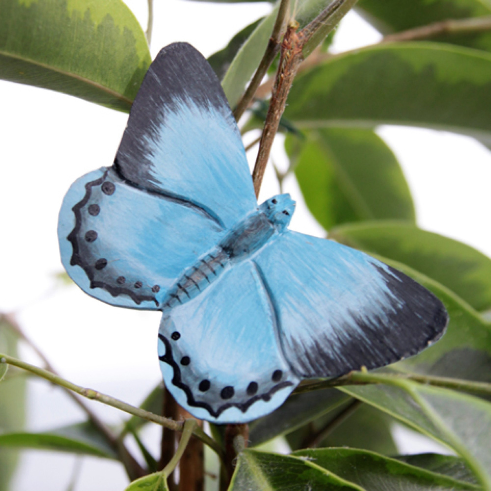 Wildlife Garden sommerfugl - blåvinge