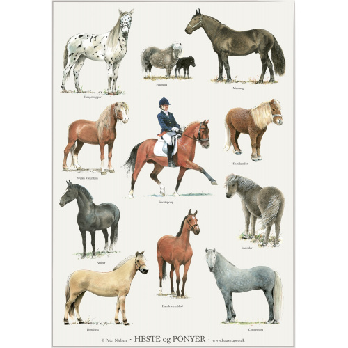 Koustrup & Co. affisch med hästar och ponnyer -...