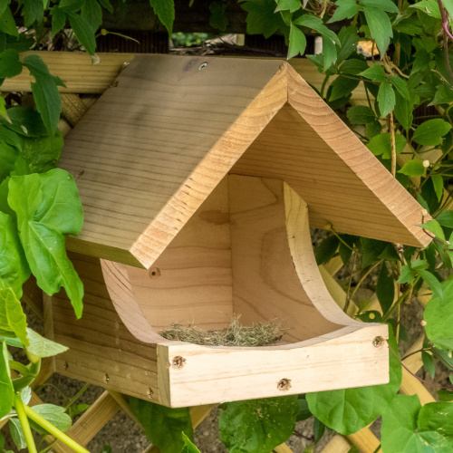 Wildlife World nesting box for blackbird