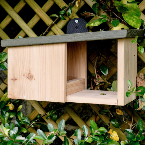 Wildlife World nest box for robin