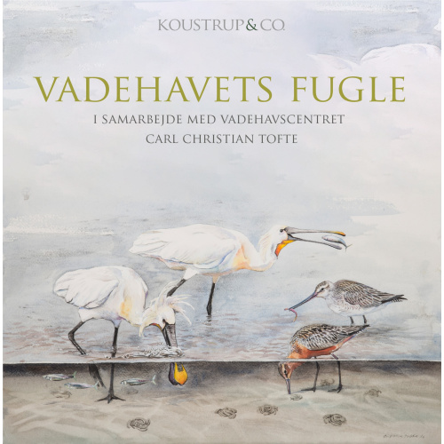 Koustrup & Co. card folder - birds of the mudflats