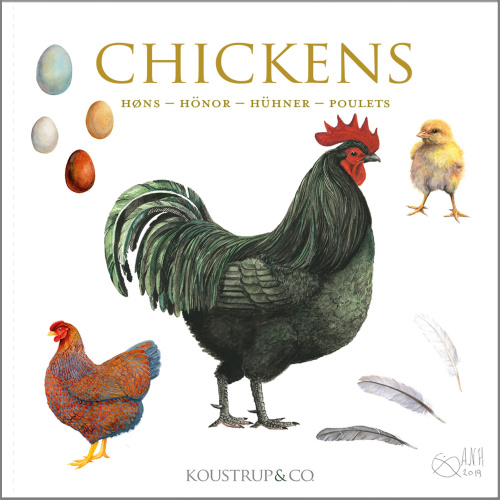 Koustrup & Co. kortmapp - kycklingar