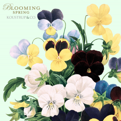 Koustrup & Co. card folder - blooming spring
