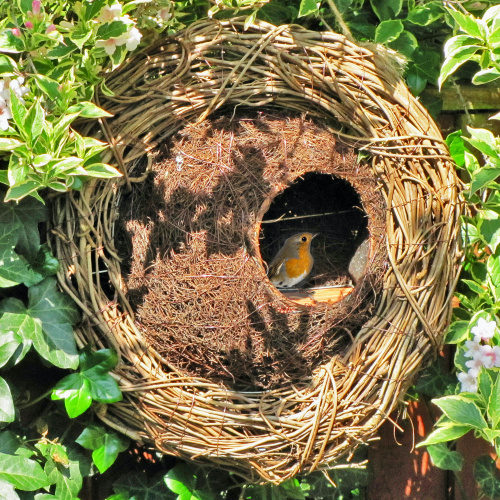Wildlife World nest box wreath in wicker