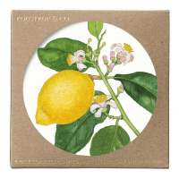 Koustrup & Co. glasbrikker - citroner