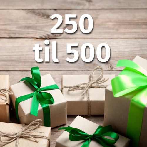 Gift ideas DKK 250 to 500.